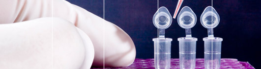 Highly specialised DNA Forensic Testing