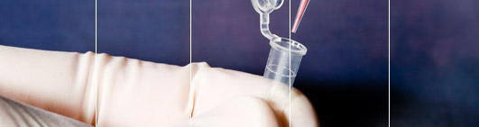 View a sample DNA test result by easyDNA India.