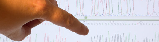 How to pay for a DNA paternity test.